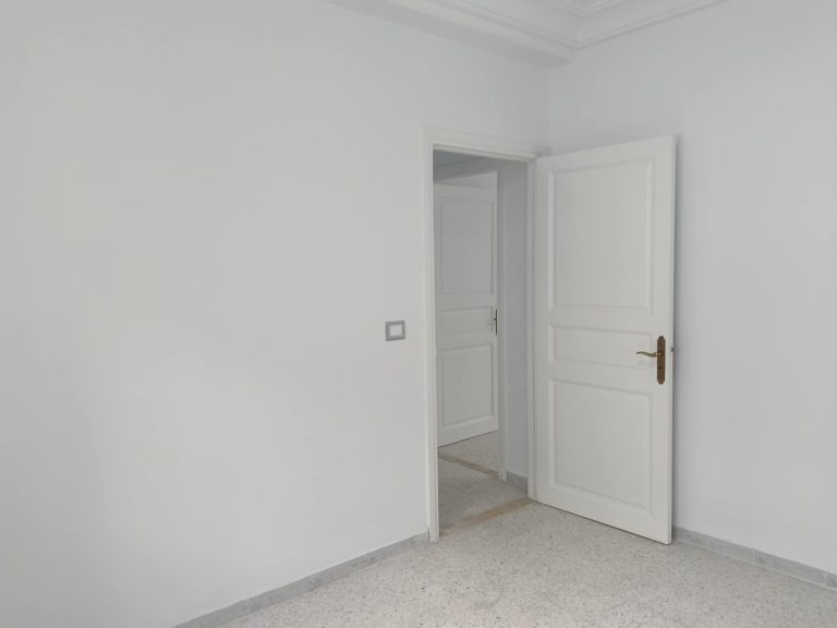 Spacieux appartement s3