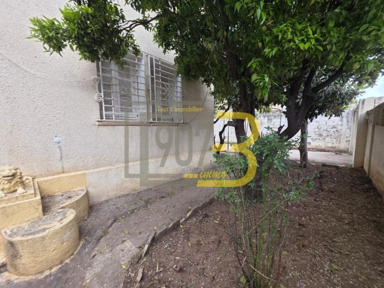 733294 20260327 125505 768x576