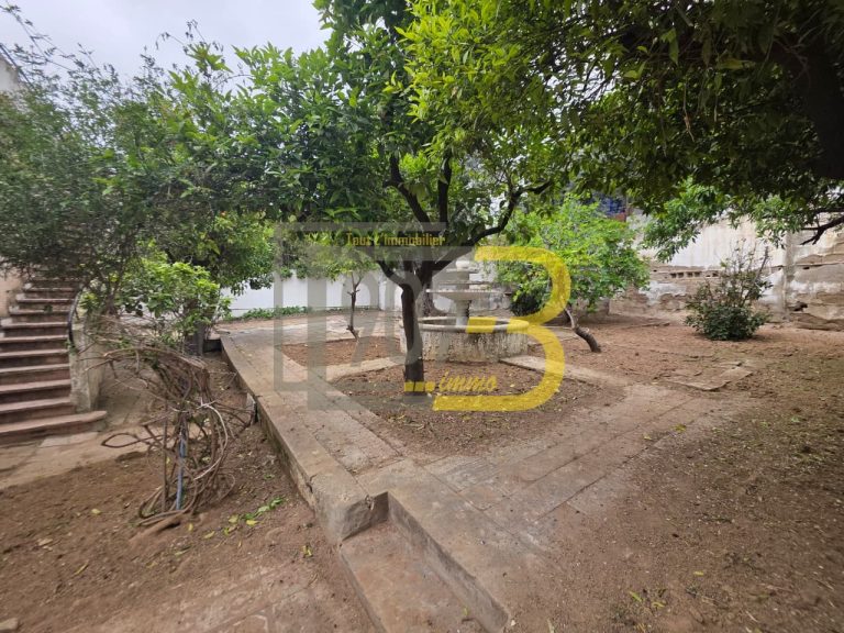 Villa &agrave; fort potentiel &agrave; france ville