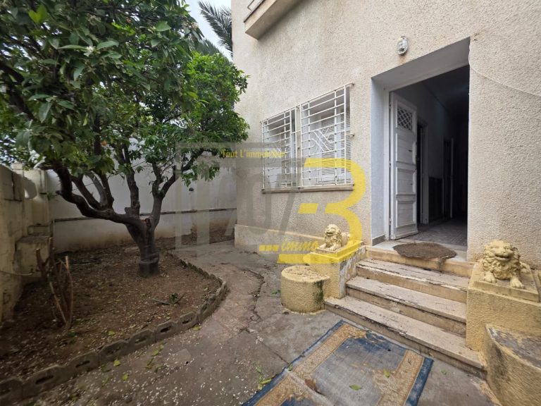 Villa &agrave; fort potentiel &agrave; france ville