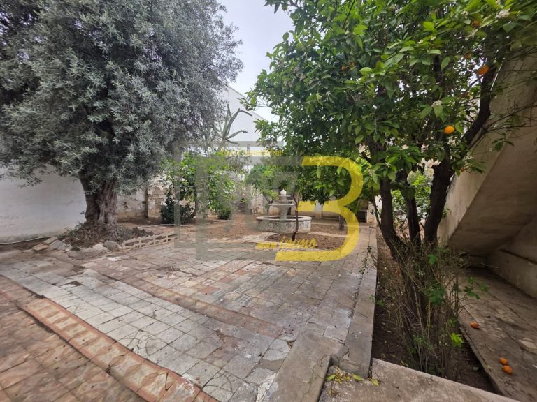 Villa &agrave; fort potentiel &agrave; france ville