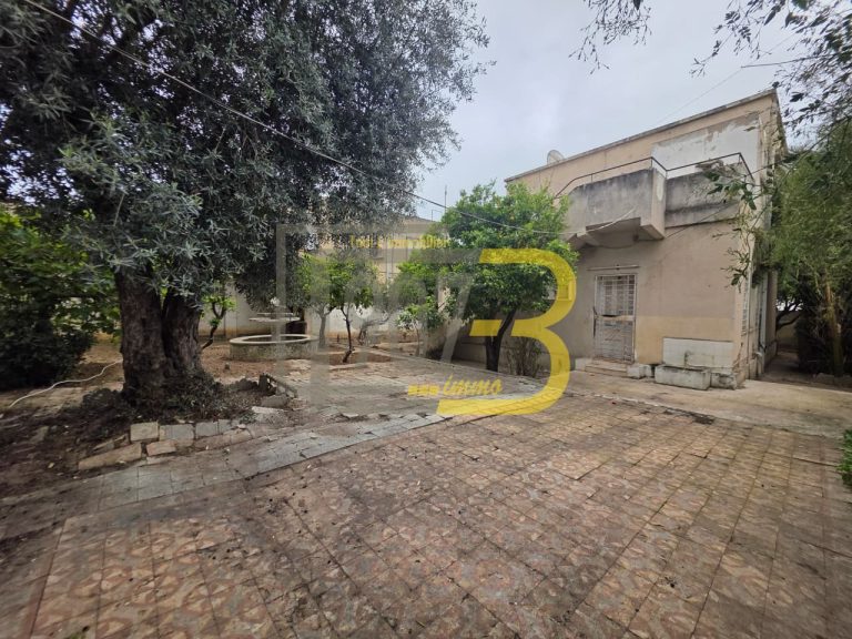 Villa &agrave; fort potentiel &agrave; france ville