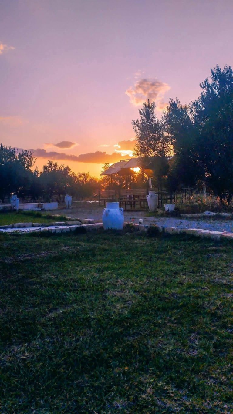 Terrain 800 m2oliviers avec villa et chalets