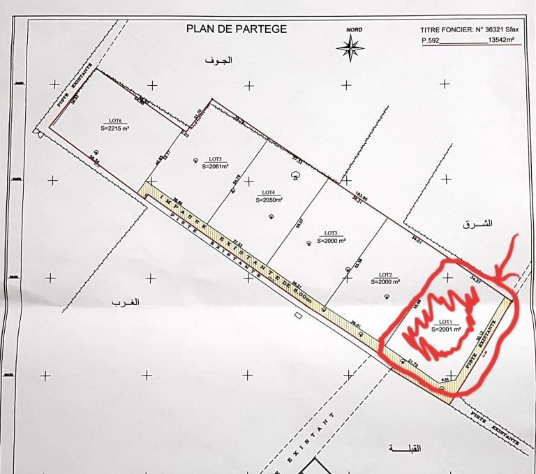 Terrain rectangulaire