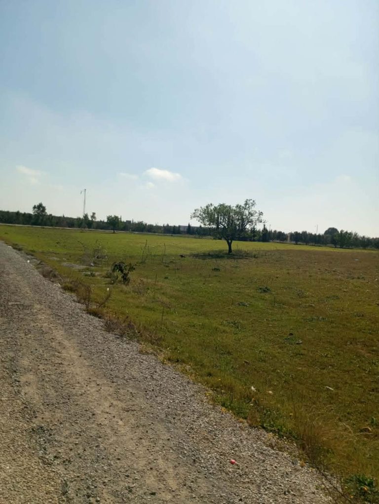 Av 1000m sur la route &agrave; sidi said