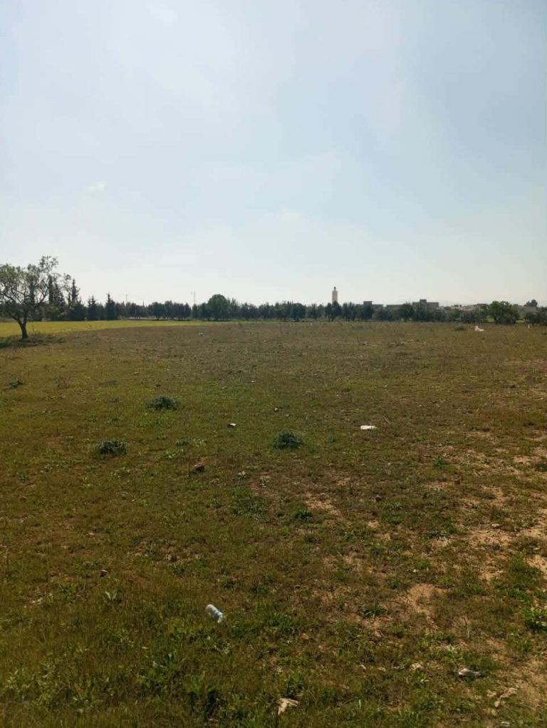 Av 1000m sur la route &agrave; sidi said