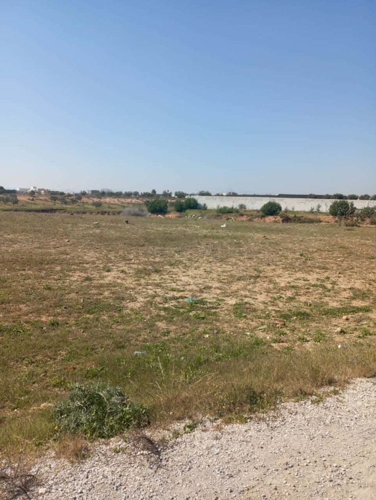 Av 1000m sur la route &agrave; sidi said