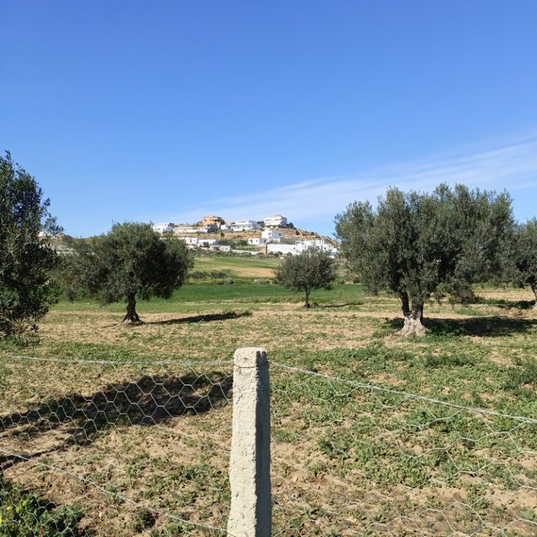 Av 1680m cl&ocirc;tur&eacute; &agrave; hammamet