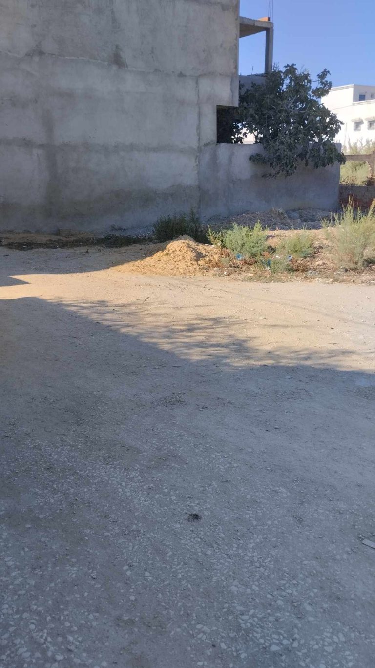 Terrain constructible