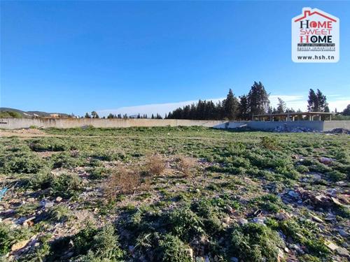 Terrain khansaa &agrave; boumhal