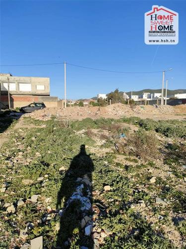 Terrain lavandula &agrave; boumhal