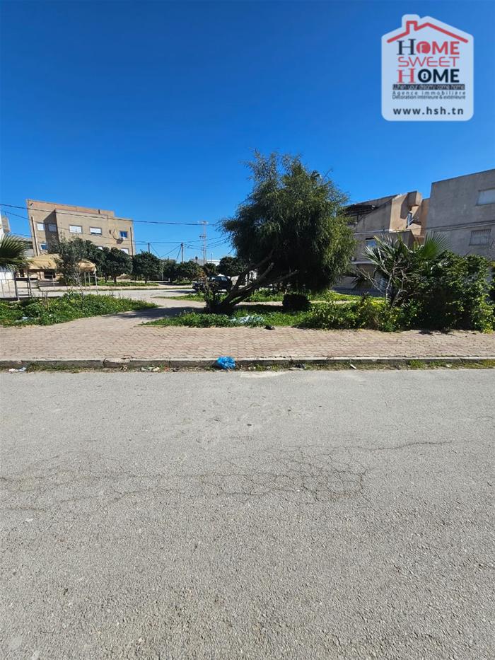 788636 20260323 105019