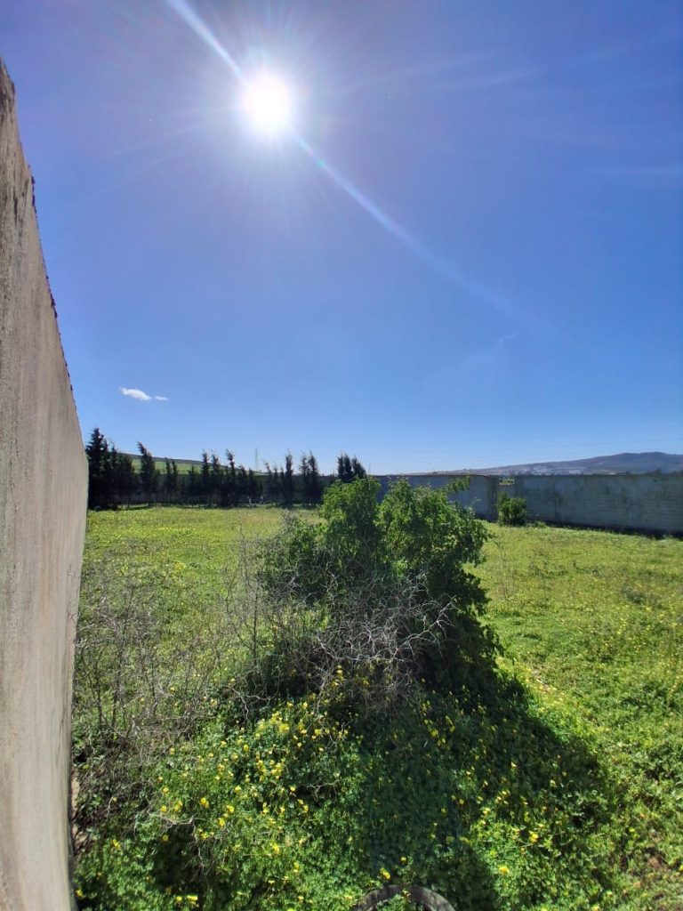 Terrain clotur&eacute; de 904m &agrave; sidi younes