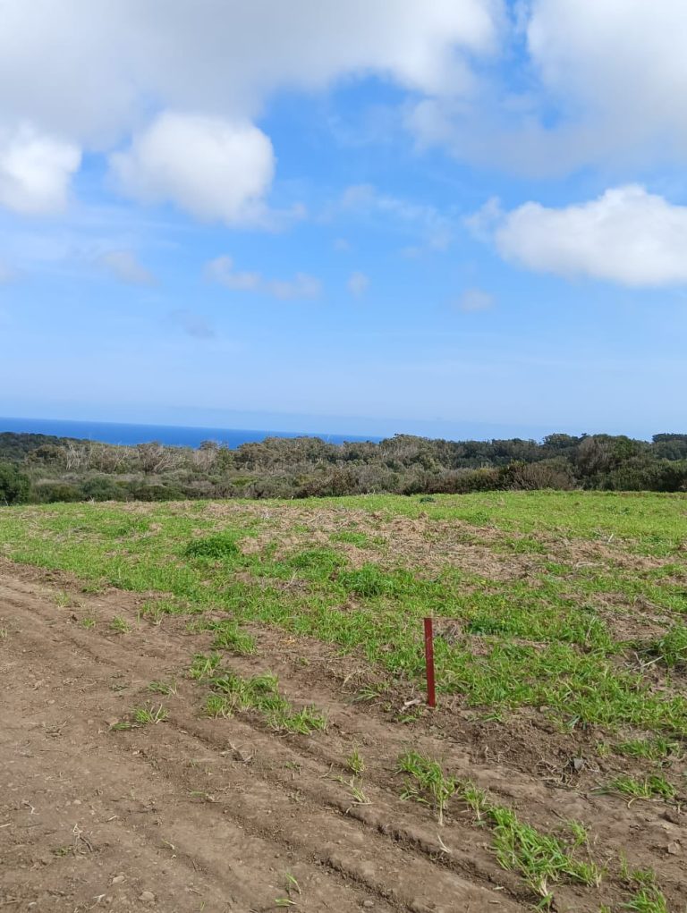 Offre limit&eacute; a 1000m