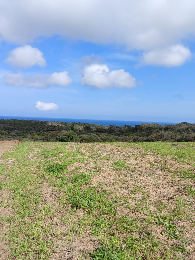 Offre limit&eacute; a 1000m