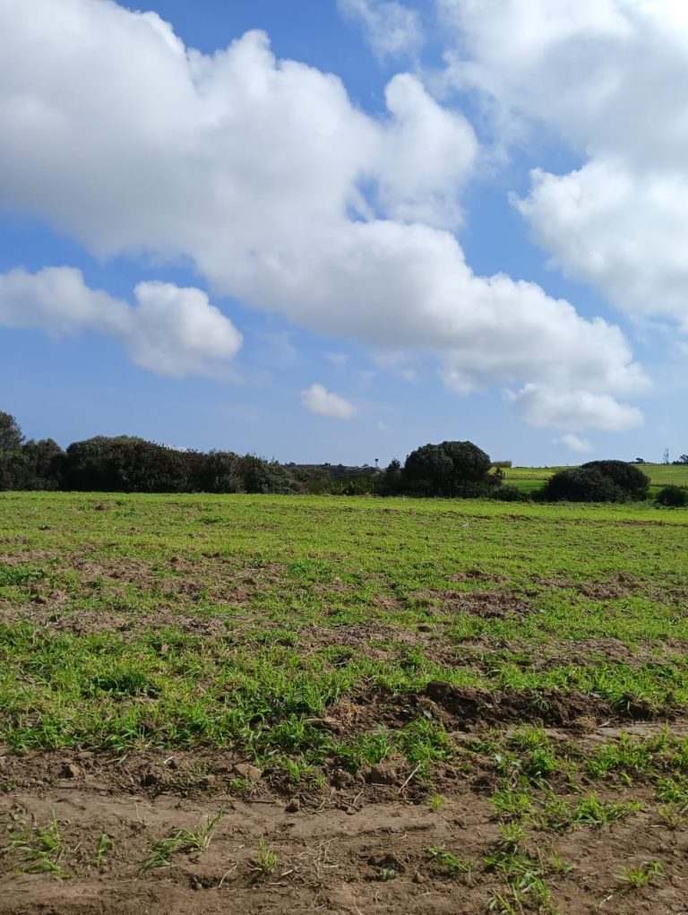 Offre limit&eacute; a 1000m