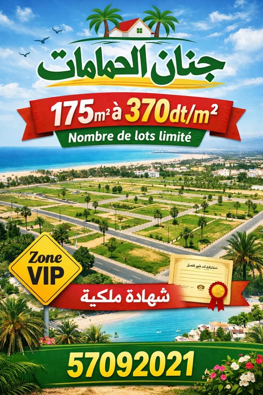 793041 20260306 105053