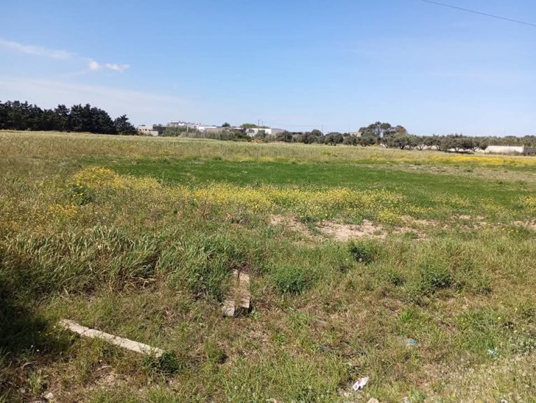 Terrain commercial elhaouaria