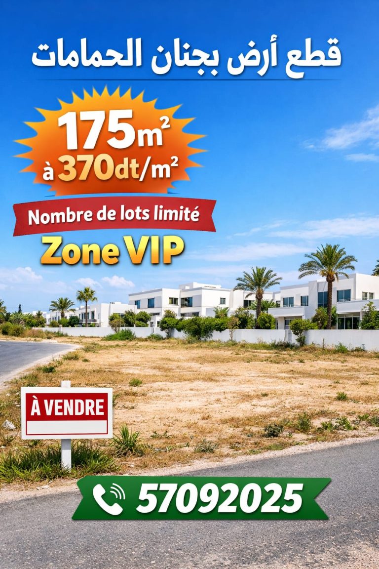 793056 20260306 104402 768x1152