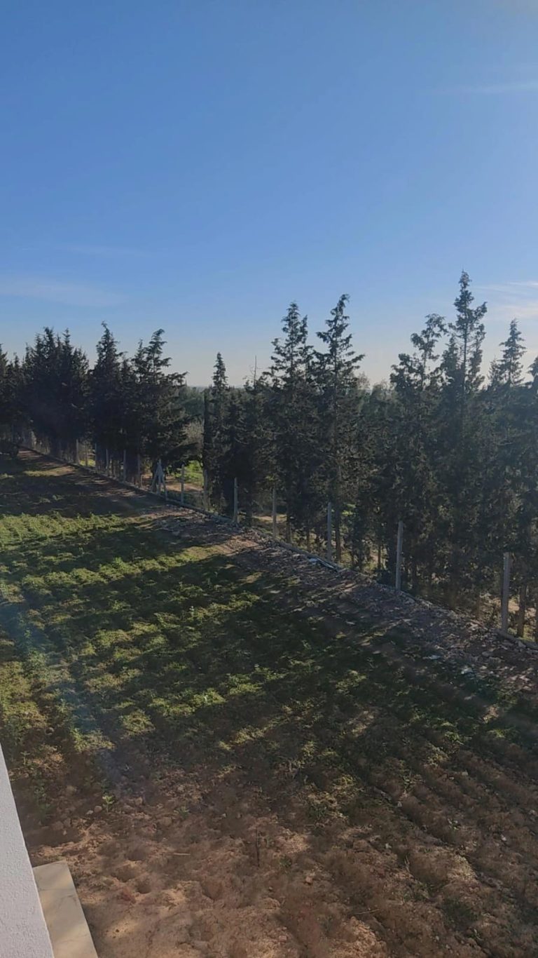 793533 20260228 164434 768x1366