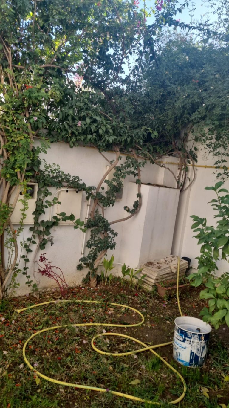 Duplex dar fadhal soukra