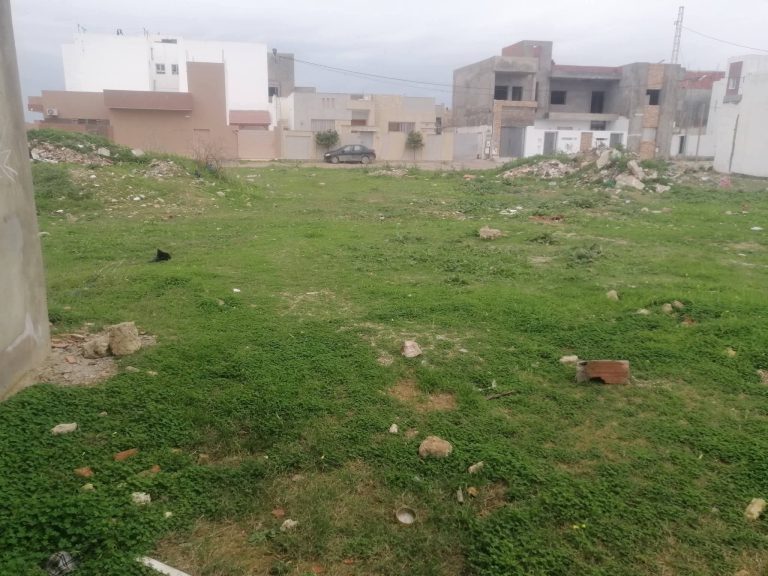 793679 20260325 015625 768x576