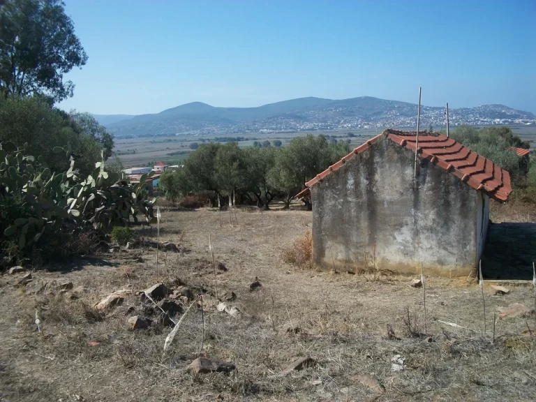 Terrain &agrave; tabarka