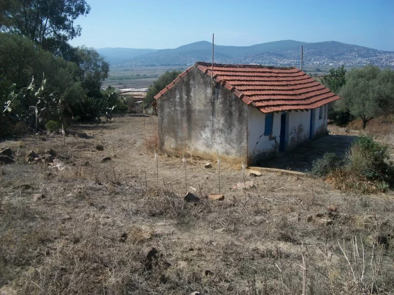 Terrain &agrave; tabarka