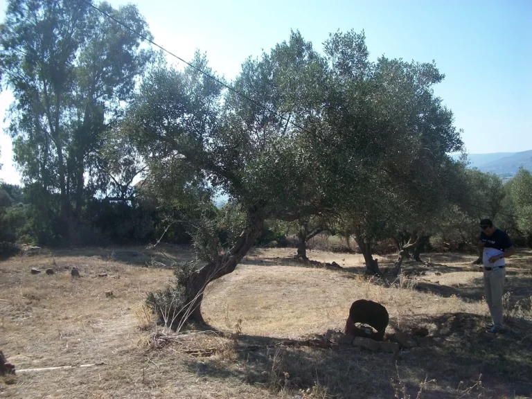 Terrain &agrave; tabarka