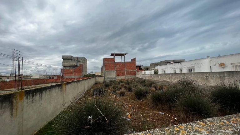 147022 20260412 124152 768x432