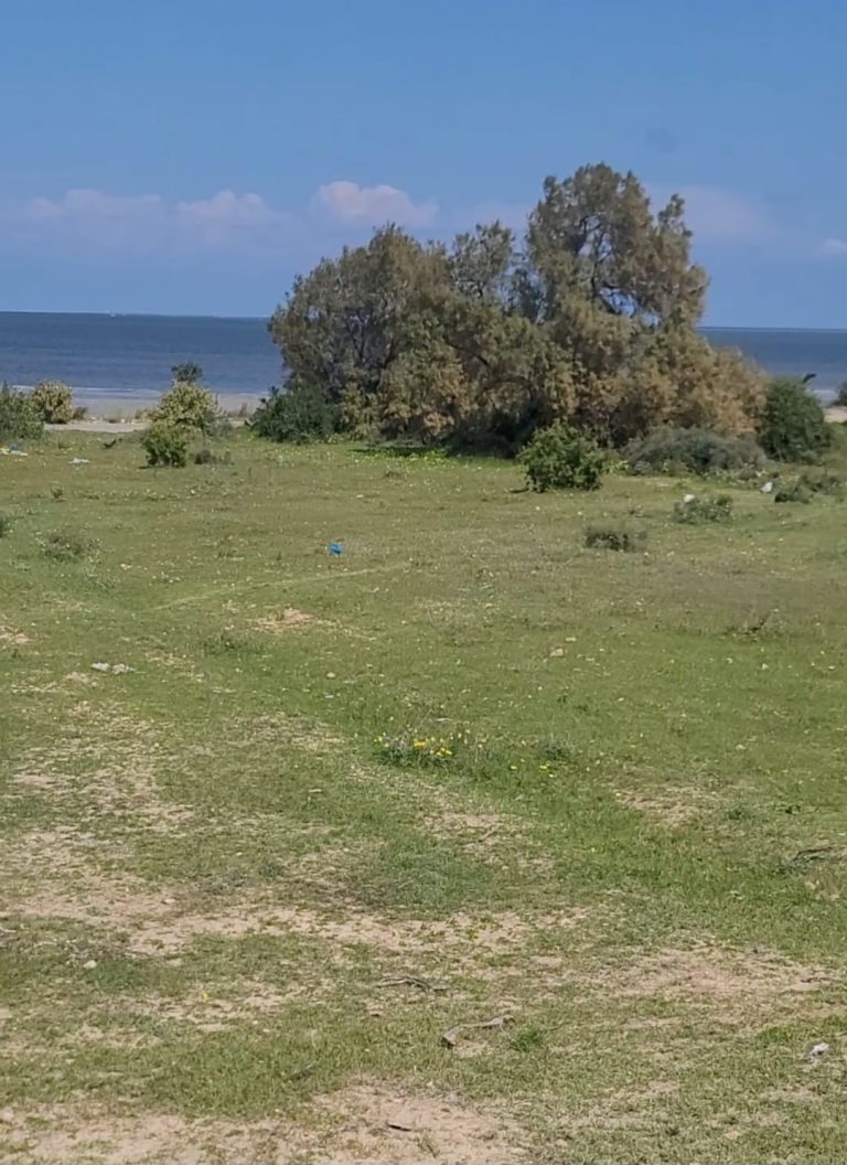 Lot de terrain de 886 m2 titr&eacute; teboulba