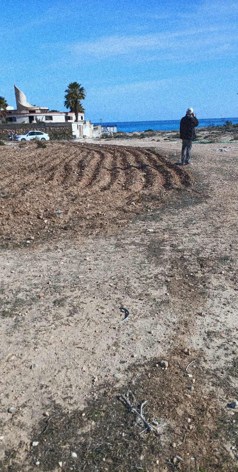 299871 20260424 140551 768x1523