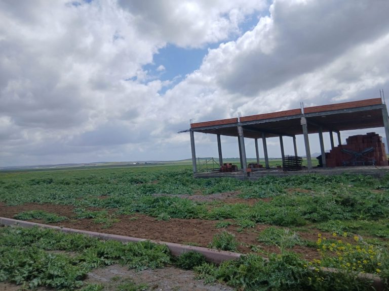 Terrain de 33 h sur le barrage de bir mcherga