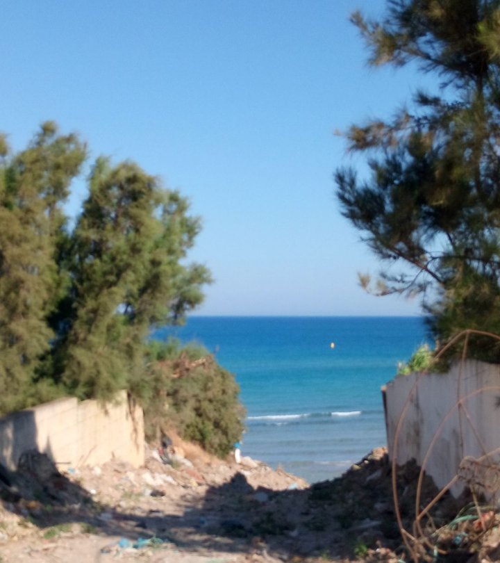 591592 20260422 195232