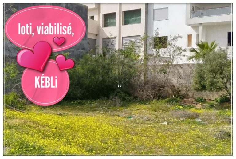 636138 20260417 045906 768x517