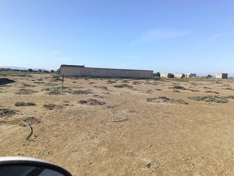 Terrain raoued plage