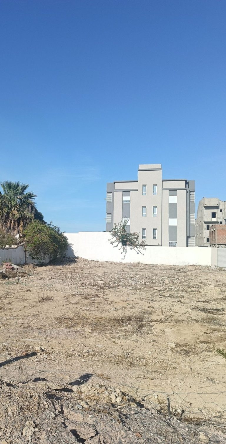 636459 20260420 120655 768x1508