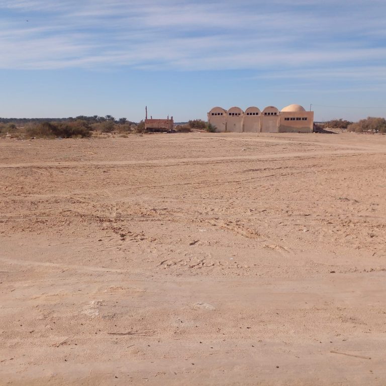 646091 20260401 221905 768x768