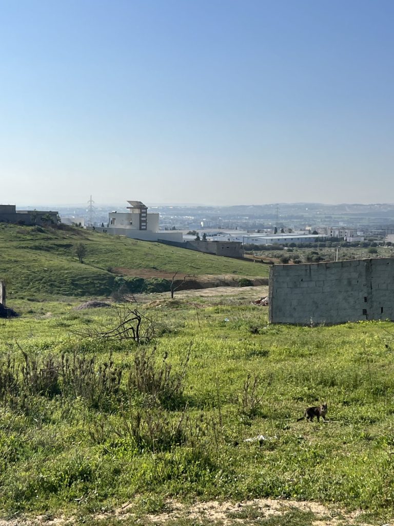 658643 20260413 230303 768x1024