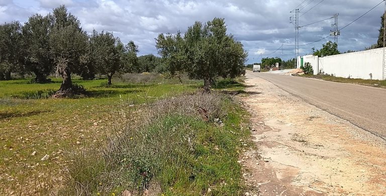 668758 20260416 160859 768x390