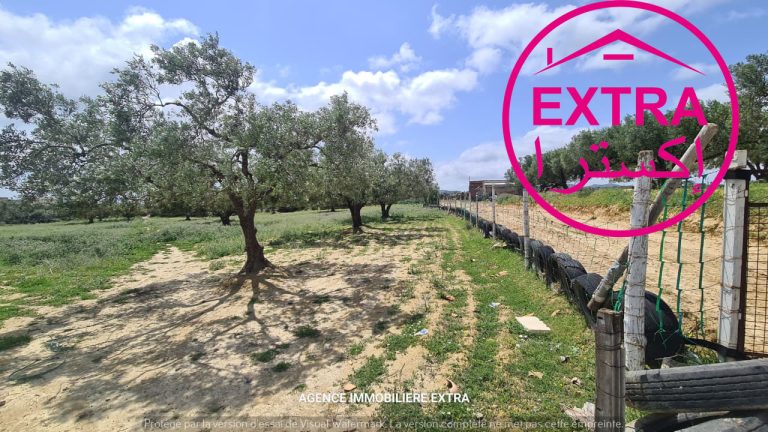 730168 20260417 120925 768x432