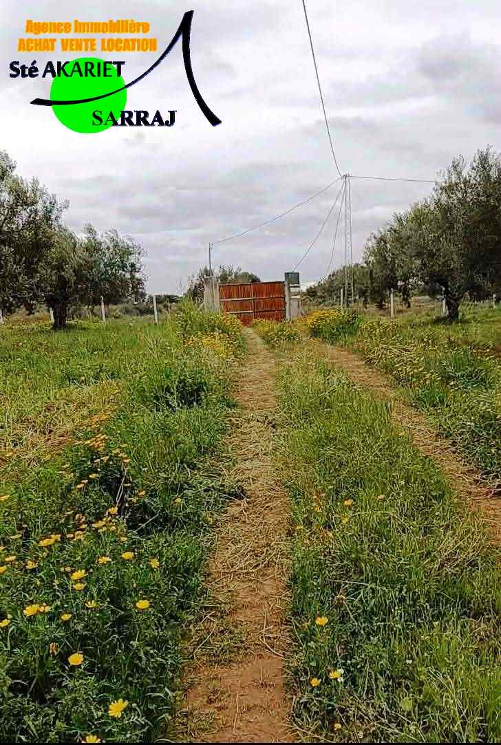 733199 20260402 175429