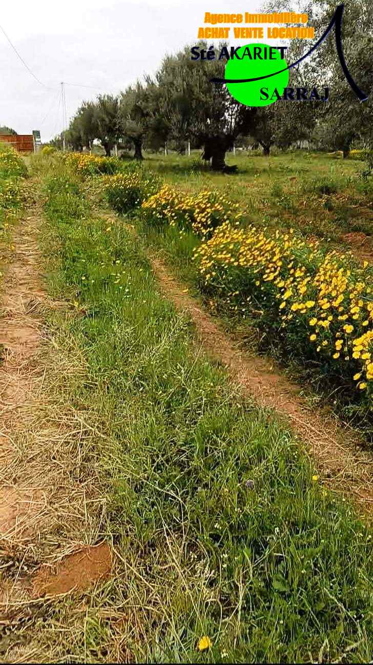 Terrain 4060m pas loin dar zitouna &agrave; sidi bouali