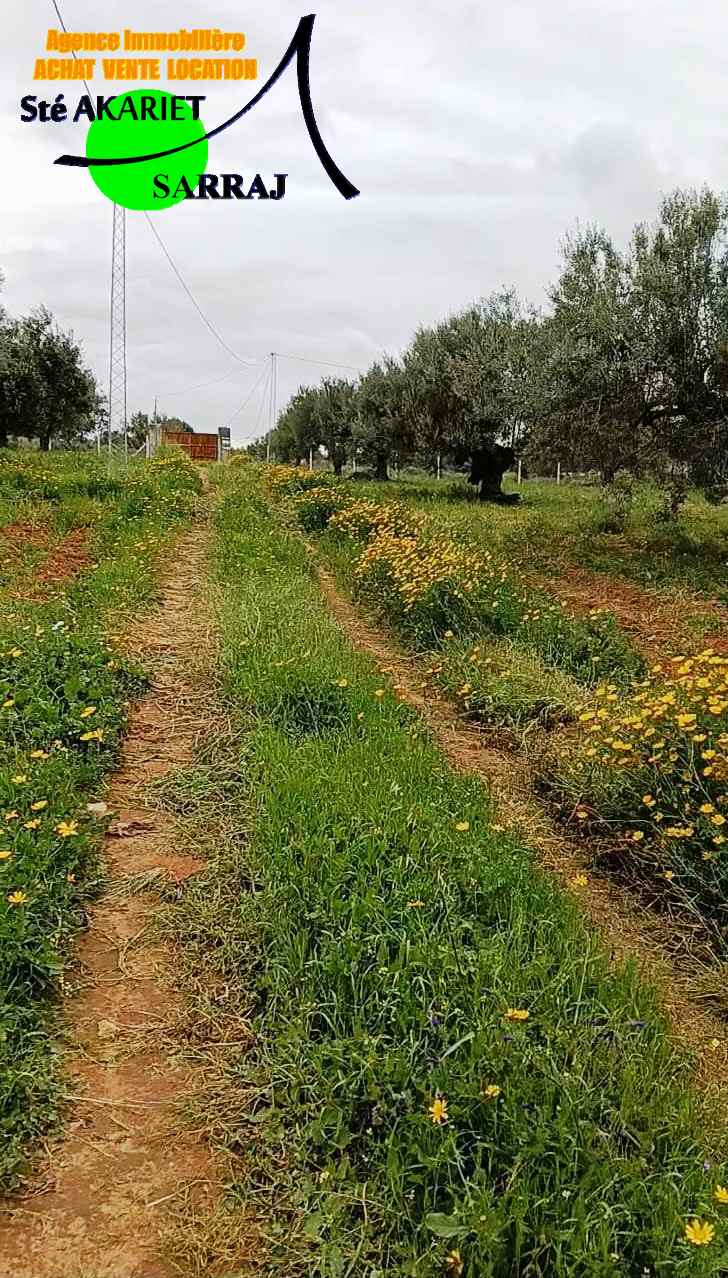 Terrain 4060m pas loin dar zitouna &agrave; sidi bouali