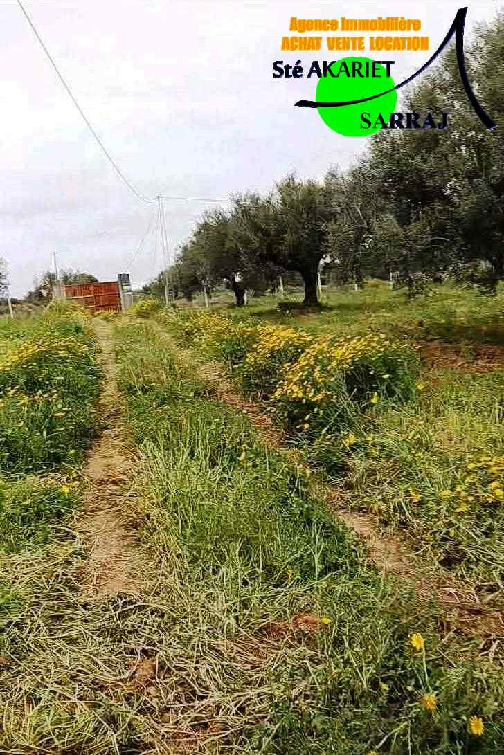 Terrain 4060m pas loin dar zitouna &agrave; sidi bouali
