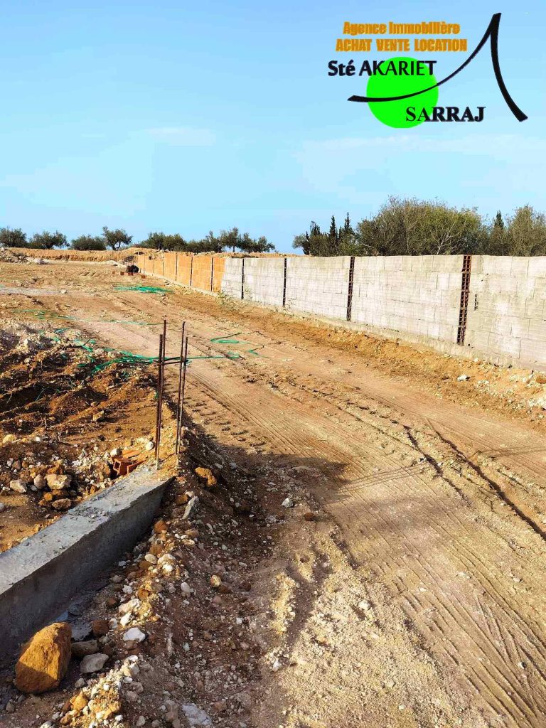 733199 20260403 113506 768x1024