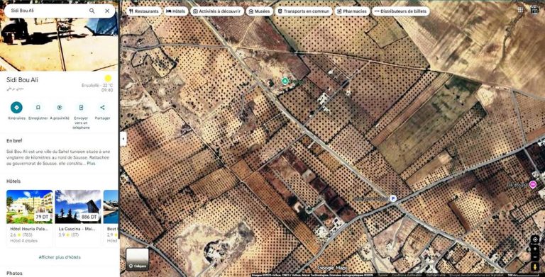 733199 20260413 115438 768x391