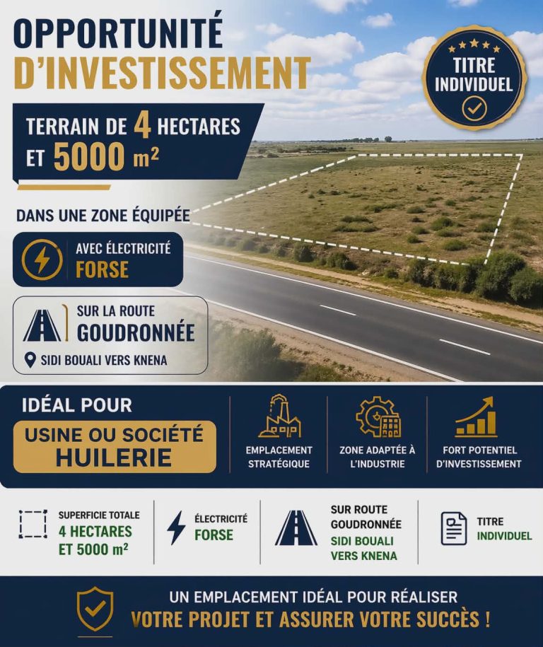 733199 20260422 104842 768x915