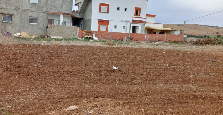 739234 20260420 221728 768x398