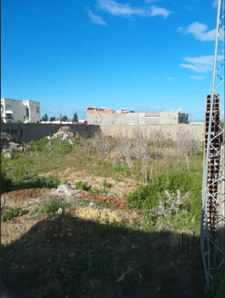 758953 20260405 131508 768x1015